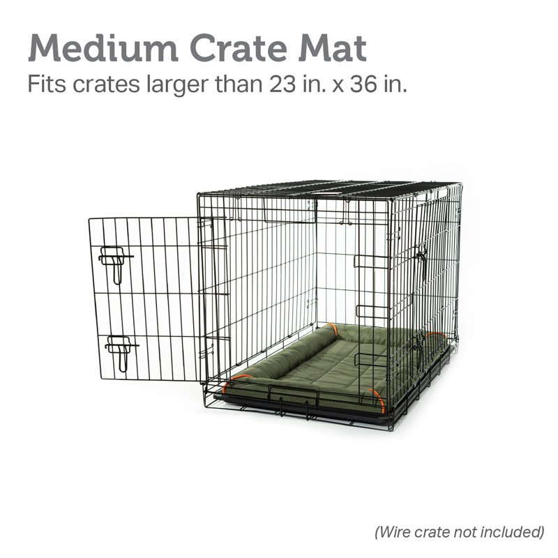 36 inch crate mat best sale